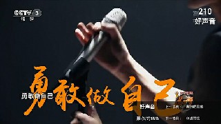 春节联欢晚会视频1